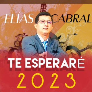 Te esperaré