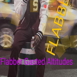 ZOOM_FLABB FS TELOLAW