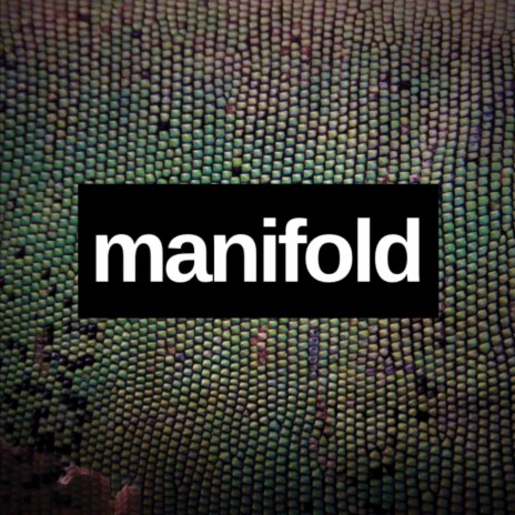 Manifold | Boomplay Music