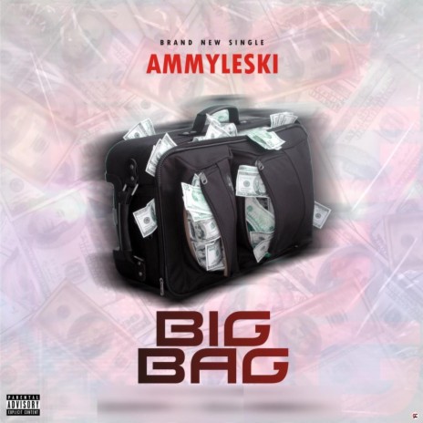 Big Bag | Boomplay Music