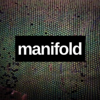 Manifold