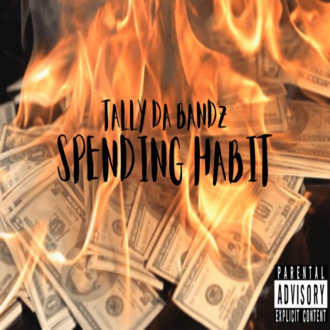 Spending Habit