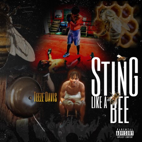 Sting Like A Bee | Boomplay Music