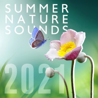 Summer Nature Sounds 2021: Soothing Music for Relaxation, Meditation & Morning Yoga