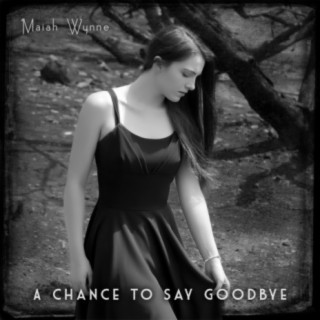 A Chance to Say Goodbye lyrics | Boomplay Music