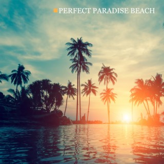 Perfect Paradise Beach: Soothing Ocean Waves