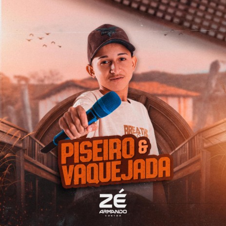 Piseiro na veia | Boomplay Music