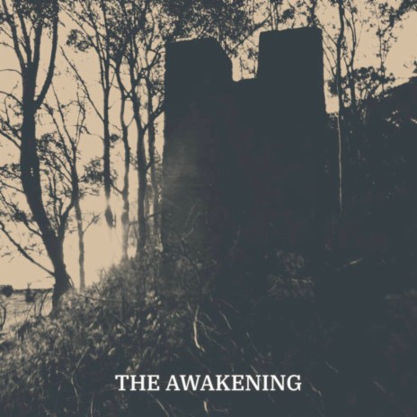 The Awakening Pt.I