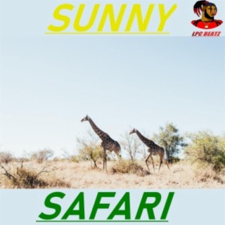 Sunny Safari