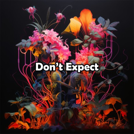 Don't Expect