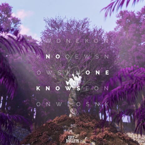No One Knows ft. Faithroze & Aditii | Boomplay Music