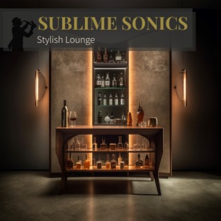 Stylish Lounge