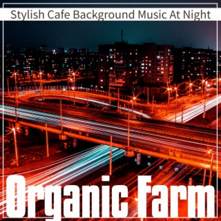 Stylish Cafe Background Music At Night