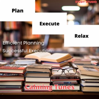 Plan, Execute, Relax - Efficient Planning, Successful Execution, Calming Tunes