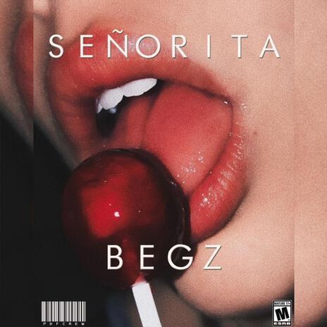 SEÑORITA | Boomplay Music