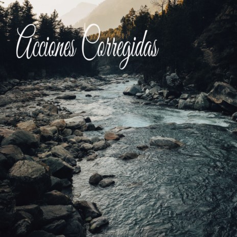 Canciones De Solos ft. Musica relajante dormir & Sonido Del Bosque y Naturaleza | Boomplay Music