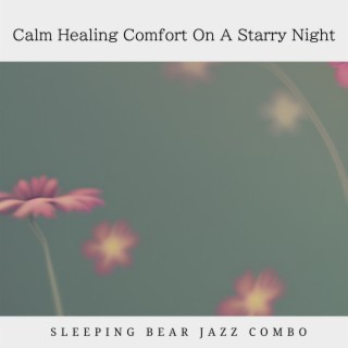 Calm Healing Comfort On A Starry Night