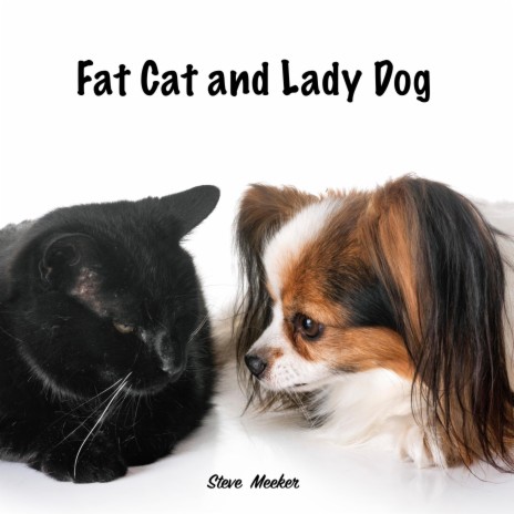 Fat Cat and Lady Dog | Boomplay Music