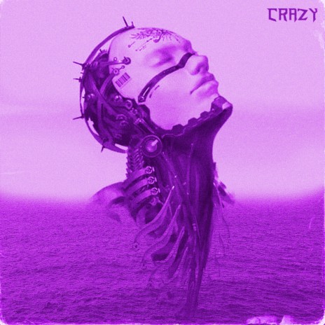 CRAZY (Slowed + Reverb) ft. Kowbra