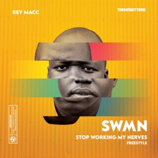 SWMN (Stop Working My Nerves) Freestyle lyrics | Boomplay Music