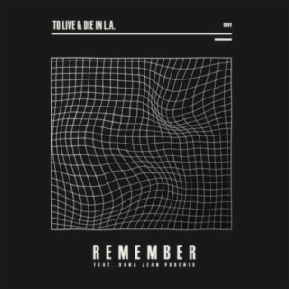 Remember (feat. Dana Jean Phoenix)