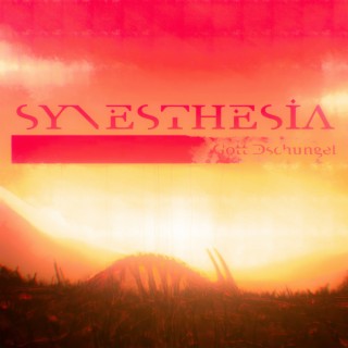 Synesthesia