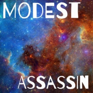 Modest Assassin