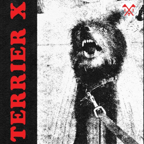 TERRIER X Sex Tonight Lyrics
