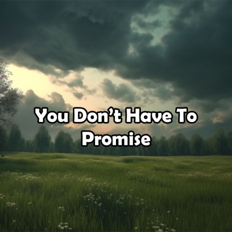 You Don't Have To Promise | Boomplay Music