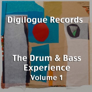 The Drum & Bass Experience, Vol. 1