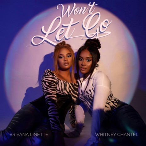 Won't Let Go ft. Brieana Linette | Boomplay Music
