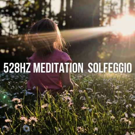 528 Hz Serene Tranquility - Loopable No Fade ft. Meditation & Meditation Rain Sounds | Boomplay Music