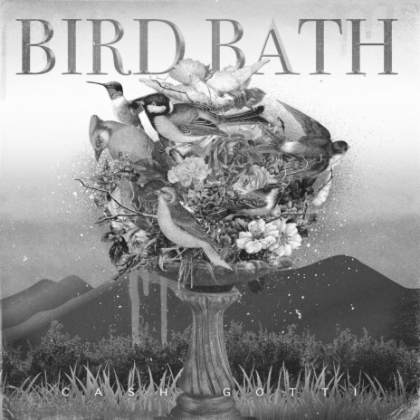 Bird Bath | Boomplay Music