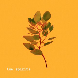 low spirits | Boomplay Music