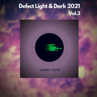 Defect Light & Dark 2021,Vol.3