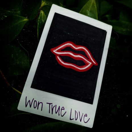 Won True Love | Boomplay Music