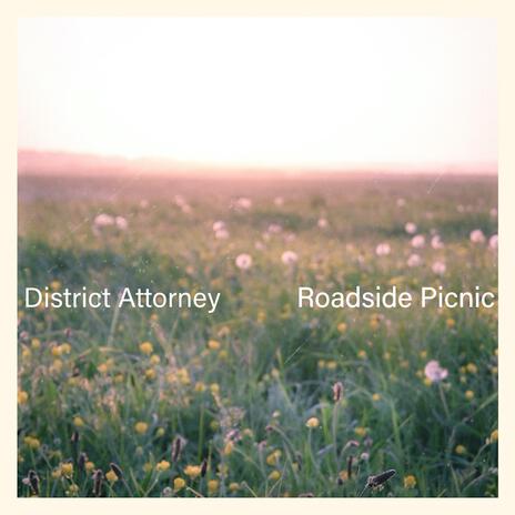 Roadside Picnic | Boomplay Music