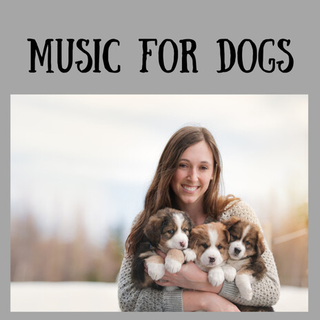 Sleeping in the Clouds ft. Music For Dogs Peace, Relaxing Puppy Music & Calm Pets Music Academy | Boomplay Music