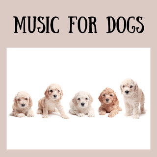 Music For Dogs