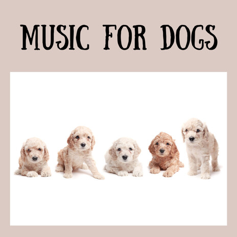 Mind Connections ft. Music For Dogs Peace, Relaxing Puppy Music & Calm Pets Music Academy | Boomplay Music