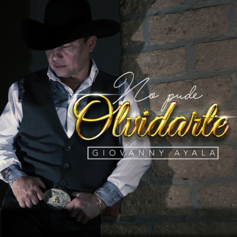 No Pude Olvidarte | Boomplay Music