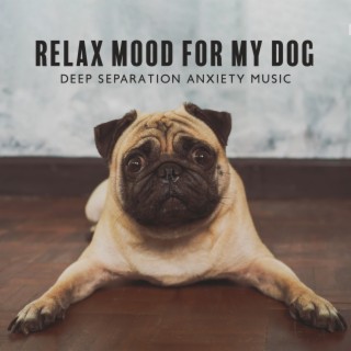 Relax Mood for My Dog: Deep Separation Anxiety Music for Dog Relaxation, Stress Relief, Calm Music