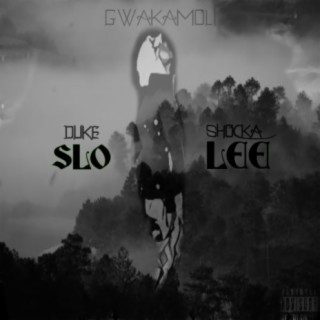 SLO LEE