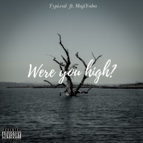 Were You High? ft. Maji Yaba & Krunal Music | Boomplay Music