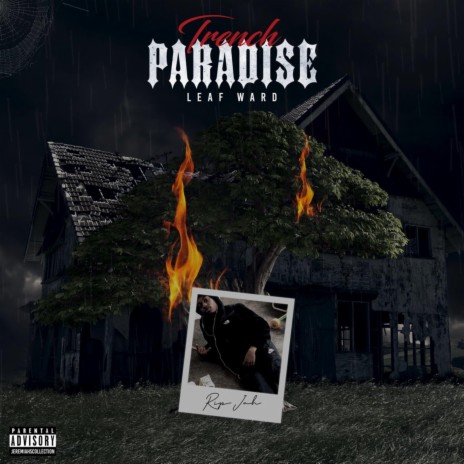 Trench Paradise 🅴 | Boomplay Music