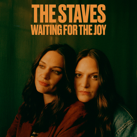 Waiting For The Joy | Boomplay Music