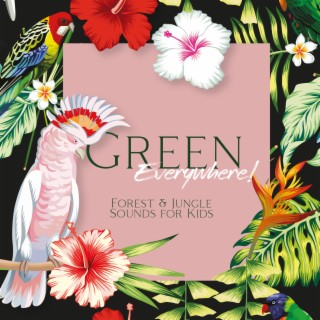 Green Everywhere! Forest & Jungle Sounds for Kids