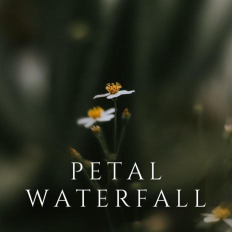 Petal Waterfall | Boomplay Music