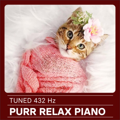 Purr Relax Piano | Boomplay Music