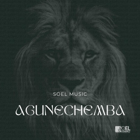 Agunechemba ft. Jay Okwulehie & Gift Simon | Boomplay Music